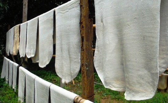 Sau lũ tại Kerala, các nhà sản xuất lốp xe Ấn Độ đối mặt với nguy cơ thiếu nguồn cung cao su tự nhiên 